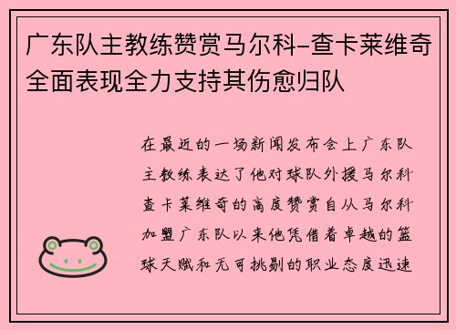 广东队主教练赞赏马尔科-查卡莱维奇全面表现全力支持其伤愈归队