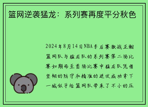 篮网逆袭猛龙：系列赛再度平分秋色