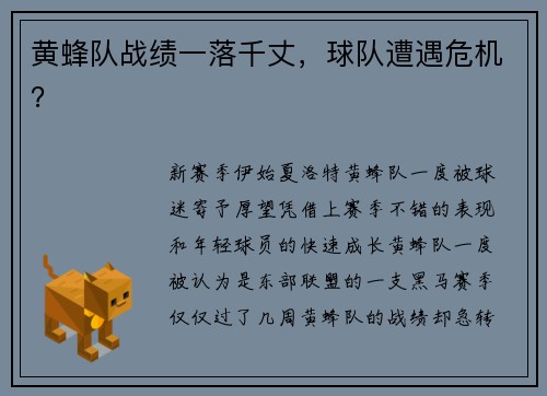 黄蜂队战绩一落千丈，球队遭遇危机？