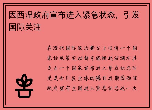 因西涅政府宣布进入紧急状态，引发国际关注