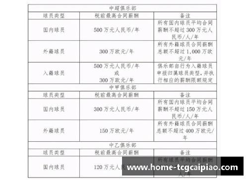 球员转会税费：足球市场中的成本与策略